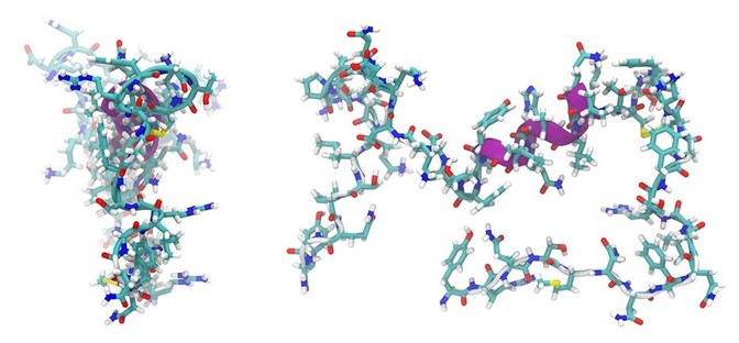 What is a Peptide