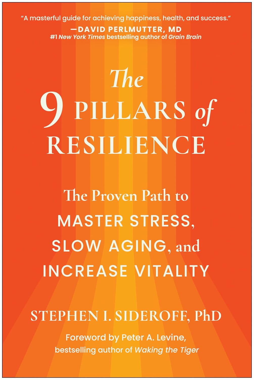 The Nine Pillars of Resilience